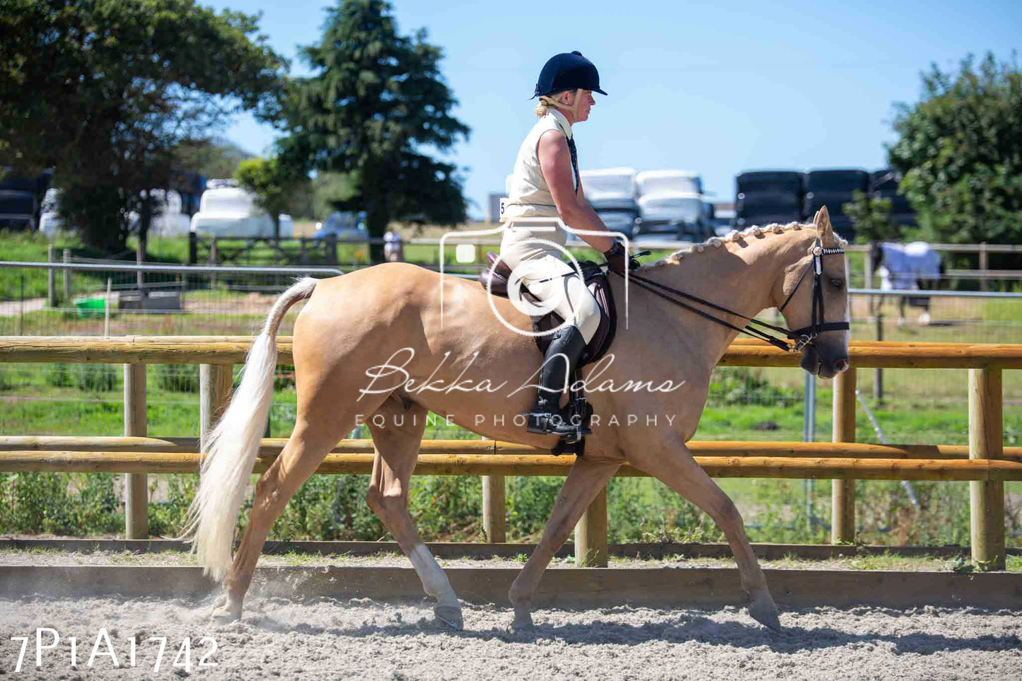 Home Farm Annual Show -Ridden Showing 20th August 2023