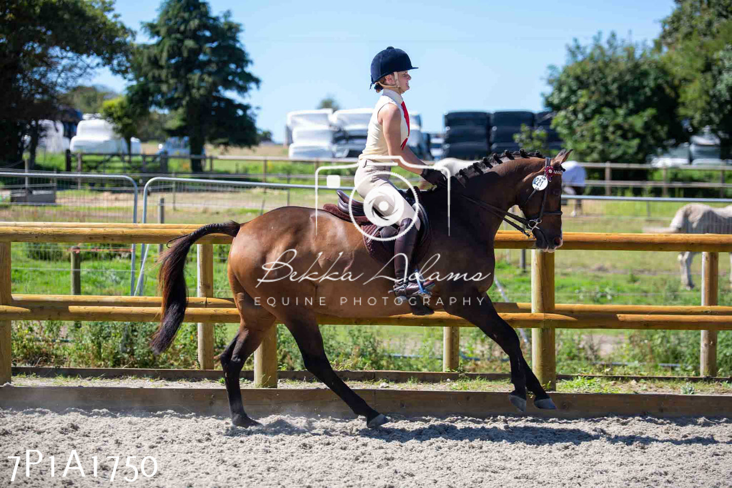 Home Farm Annual Show -Ridden Showing 20th August 2023