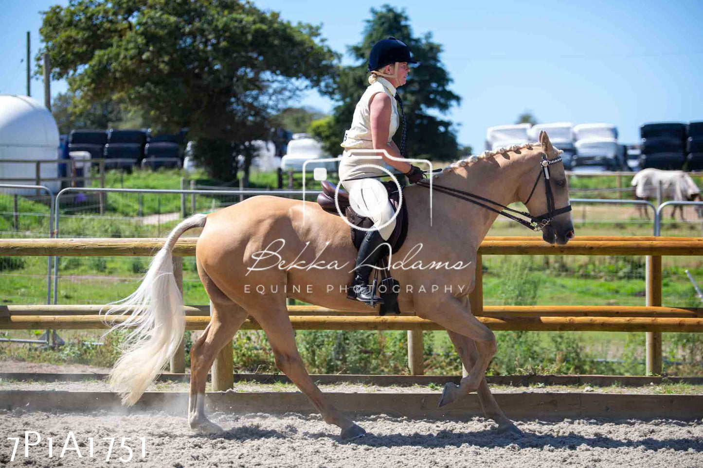 Home Farm Annual Show -Ridden Showing 20th August 2023