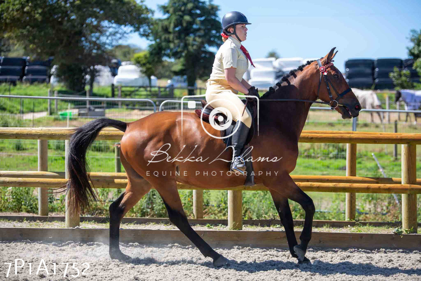 Home Farm Annual Show -Ridden Showing 20th August 2023