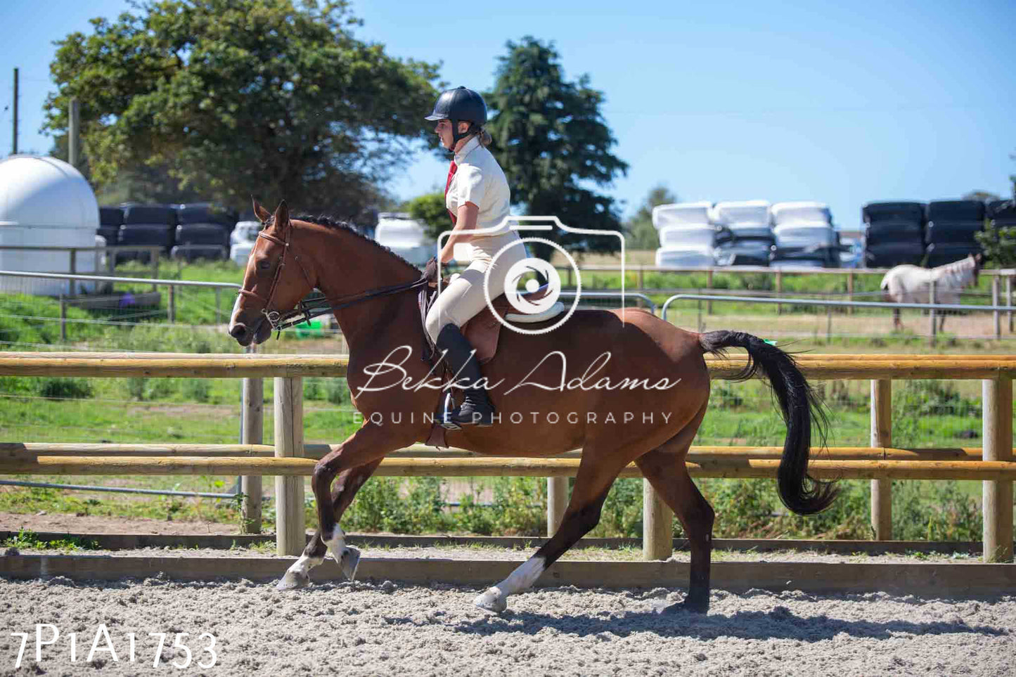 Home Farm Annual Show -Ridden Showing 20th August 2023
