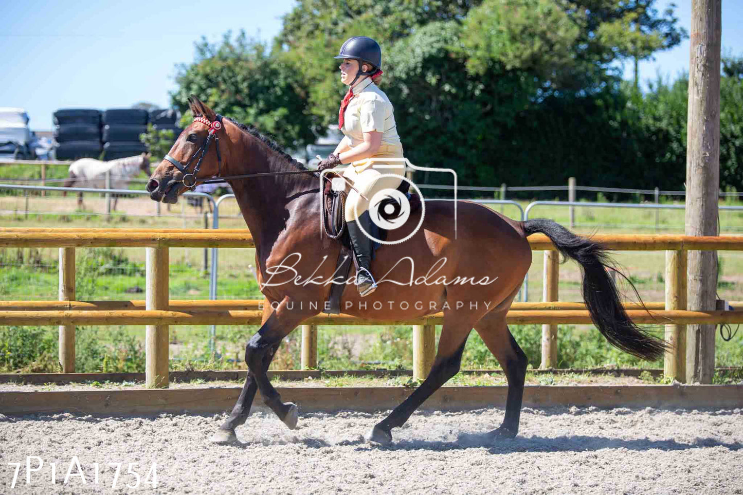 Home Farm Annual Show -Ridden Showing 20th August 2023
