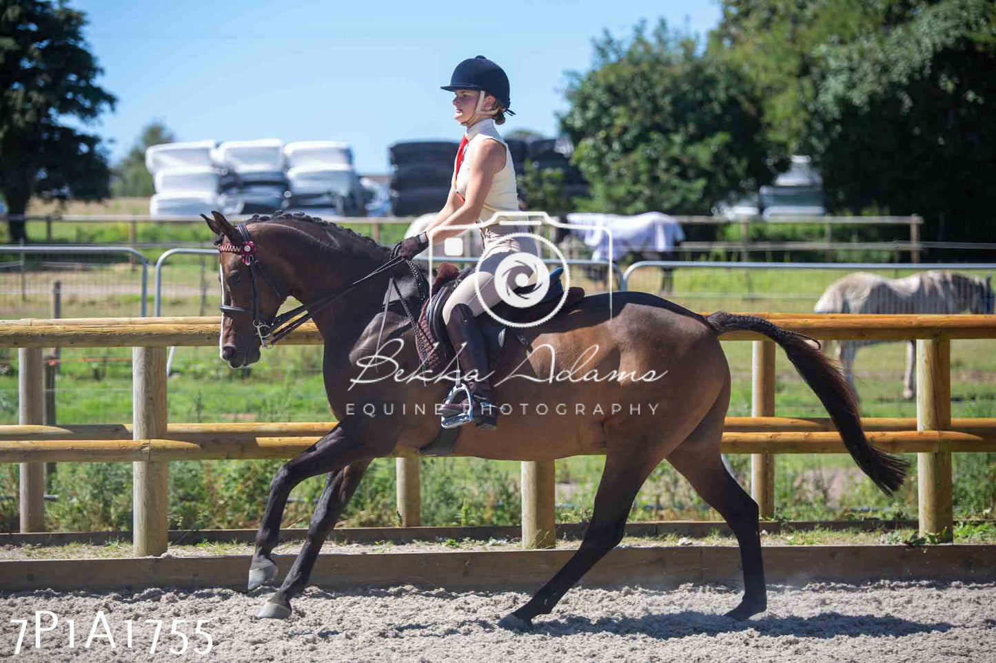 Home Farm Annual Show -Ridden Showing 20th August 2023