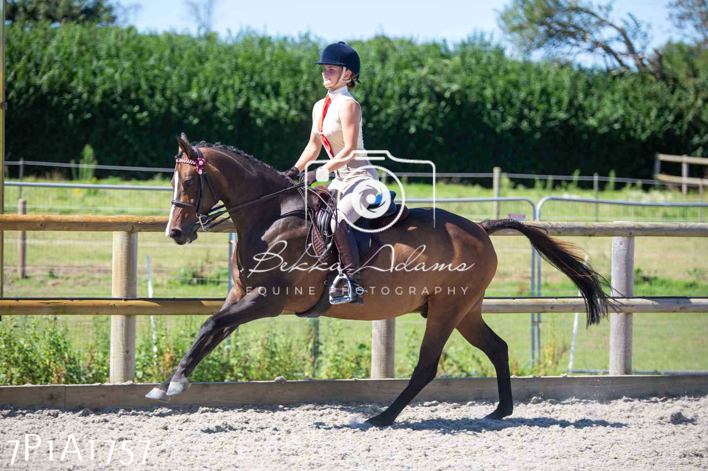 Home Farm Annual Show -Ridden Showing 20th August 2023