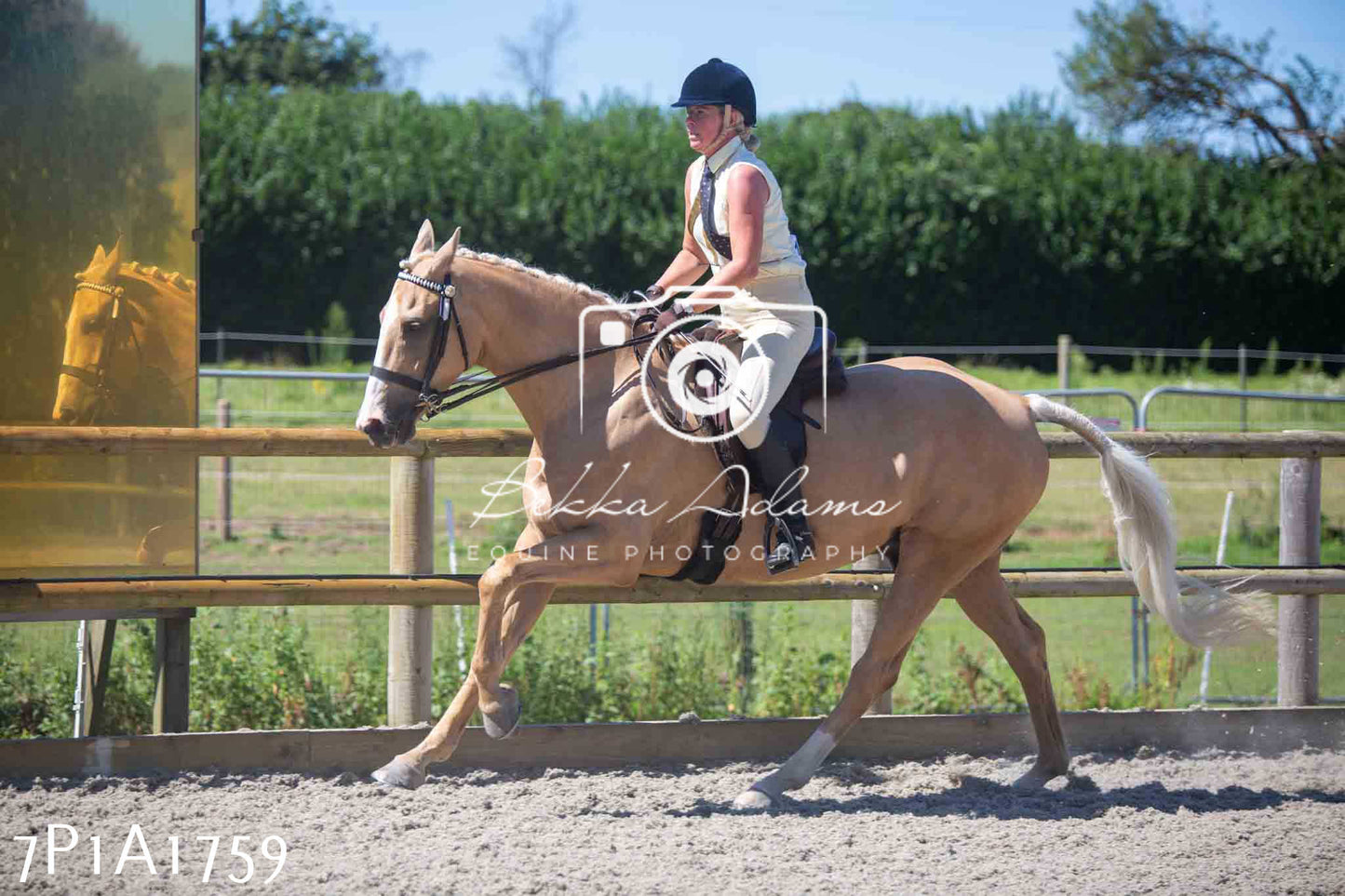 Home Farm Annual Show -Ridden Showing 20th August 2023