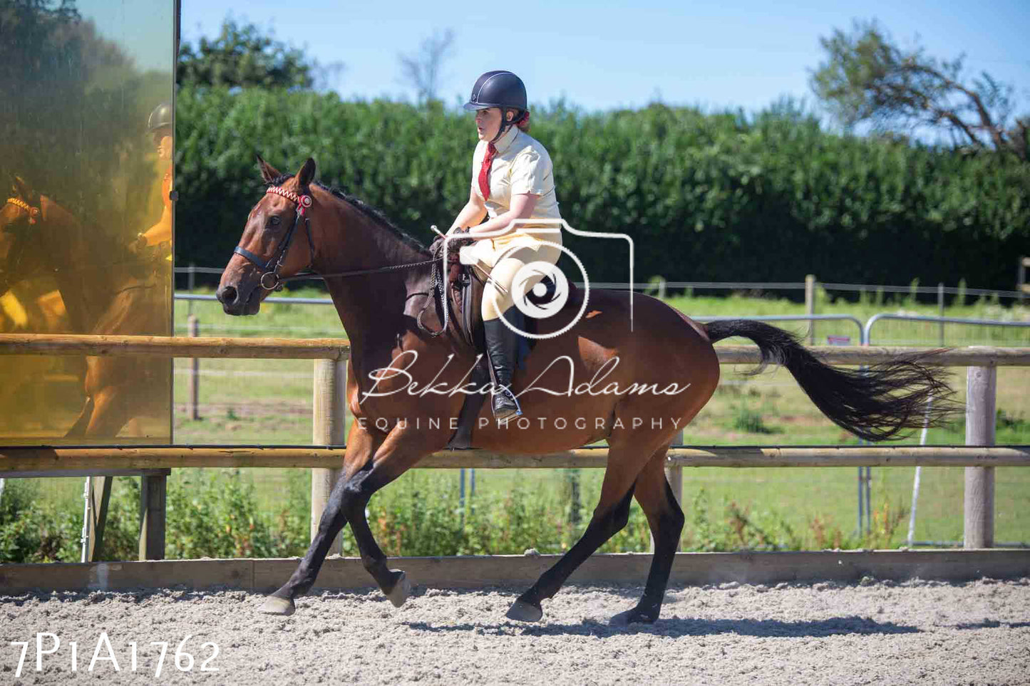 Home Farm Annual Show -Ridden Showing 20th August 2023