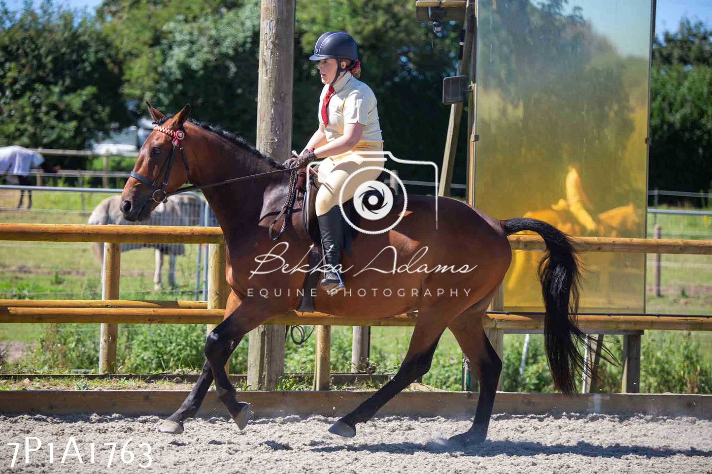Home Farm Annual Show -Ridden Showing 20th August 2023
