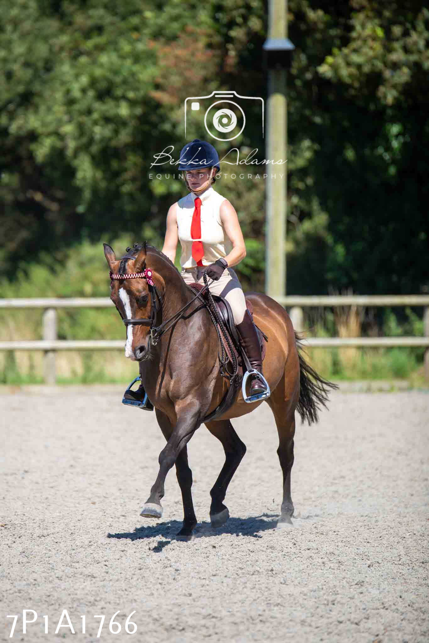 Home Farm Annual Show -Ridden Showing 20th August 2023