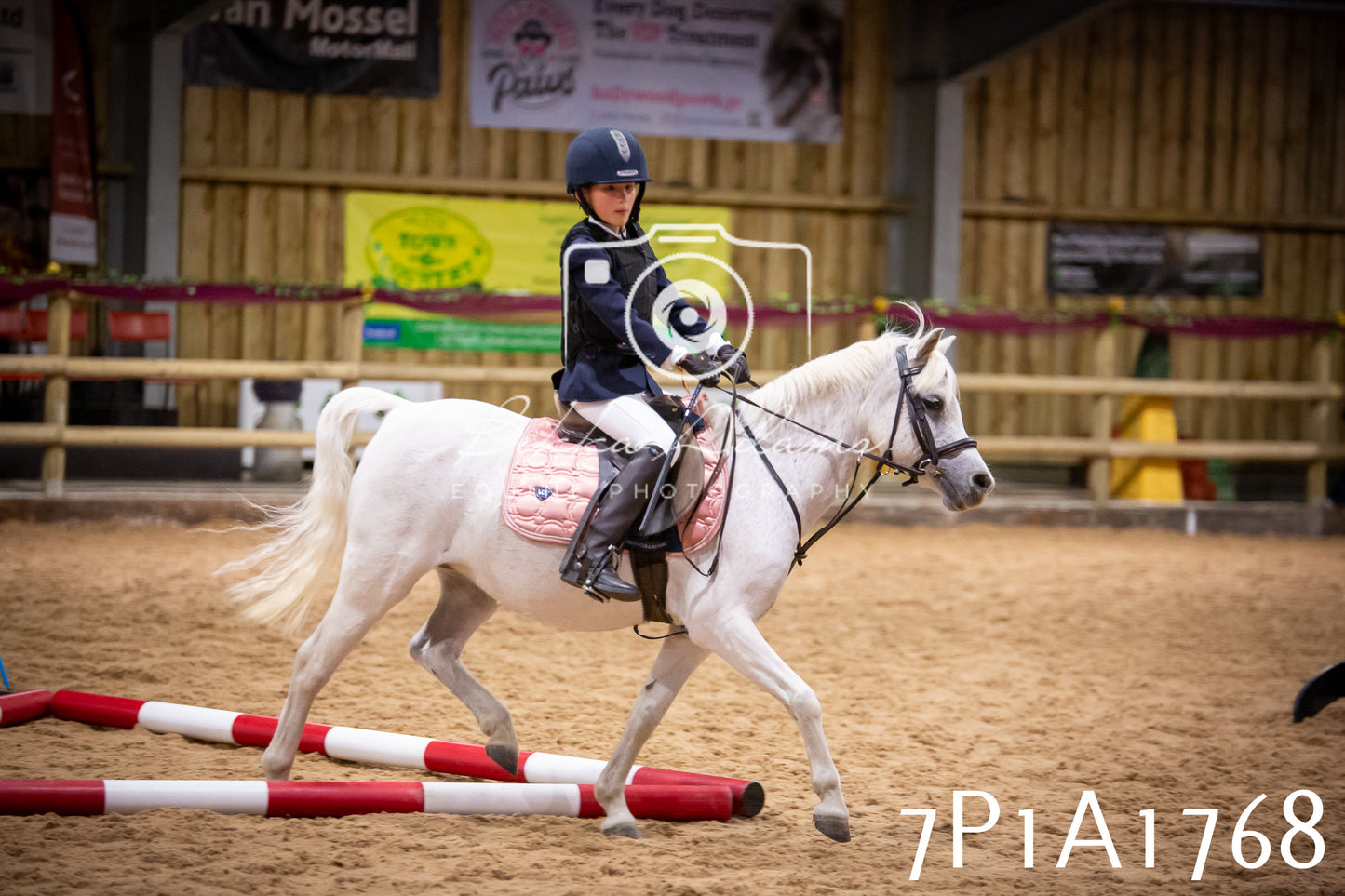 JHOYS 2025 - Show Jumping - 19th September pt1