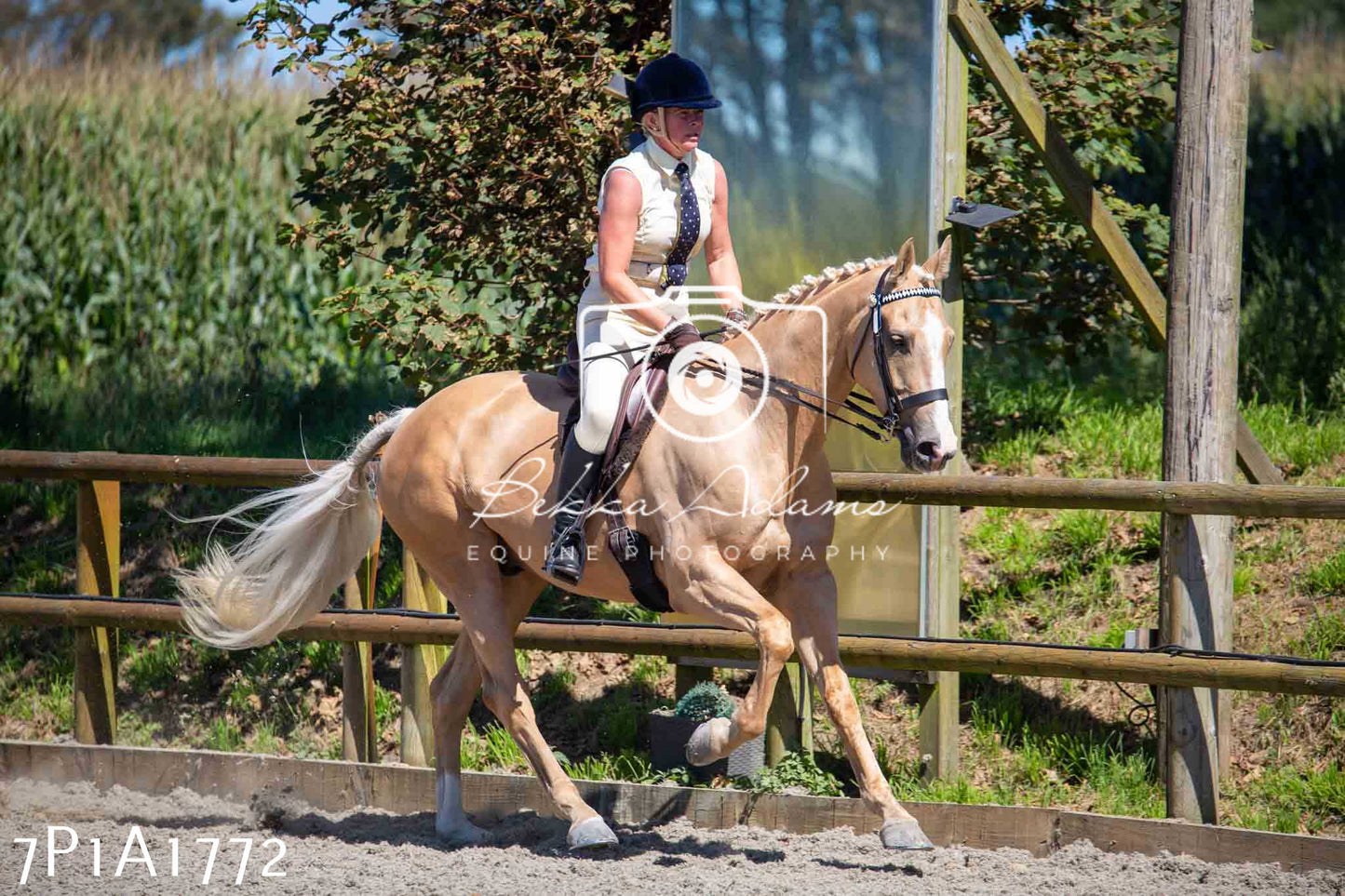 Home Farm Annual Show -Ridden Showing 20th August 2023