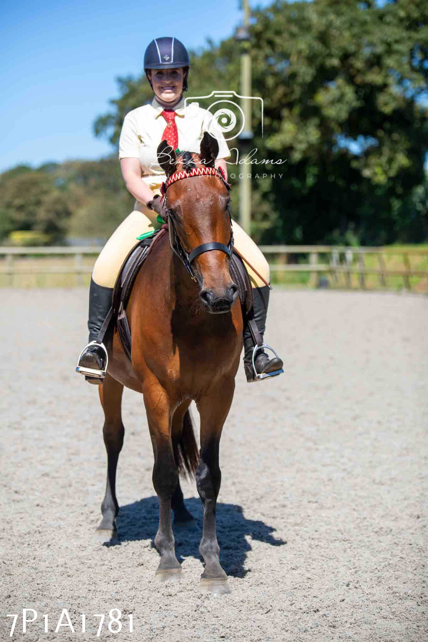 Home Farm Annual Show -Ridden Showing 20th August 2023