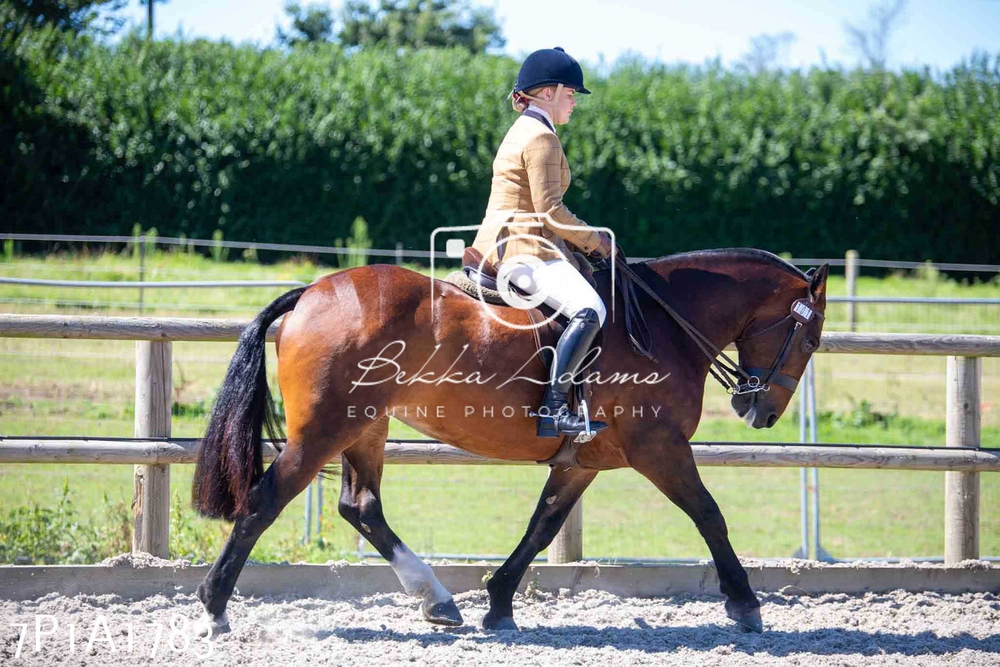 Home Farm Annual Show -Ridden Showing 20th August 2023