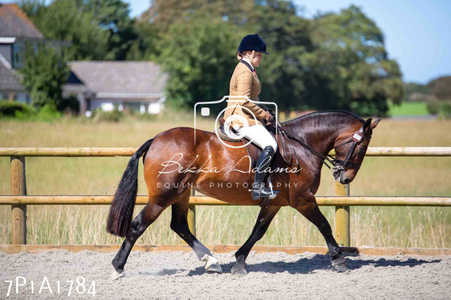 Home Farm Annual Show -Ridden Showing 20th August 2023
