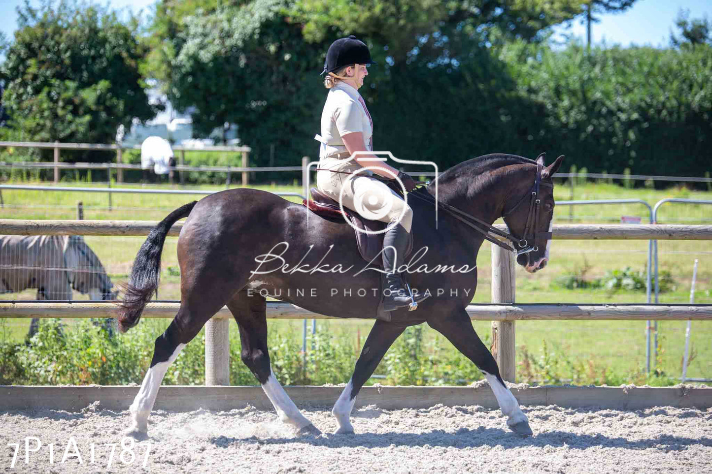 Home Farm Annual Show -Ridden Showing 20th August 2023