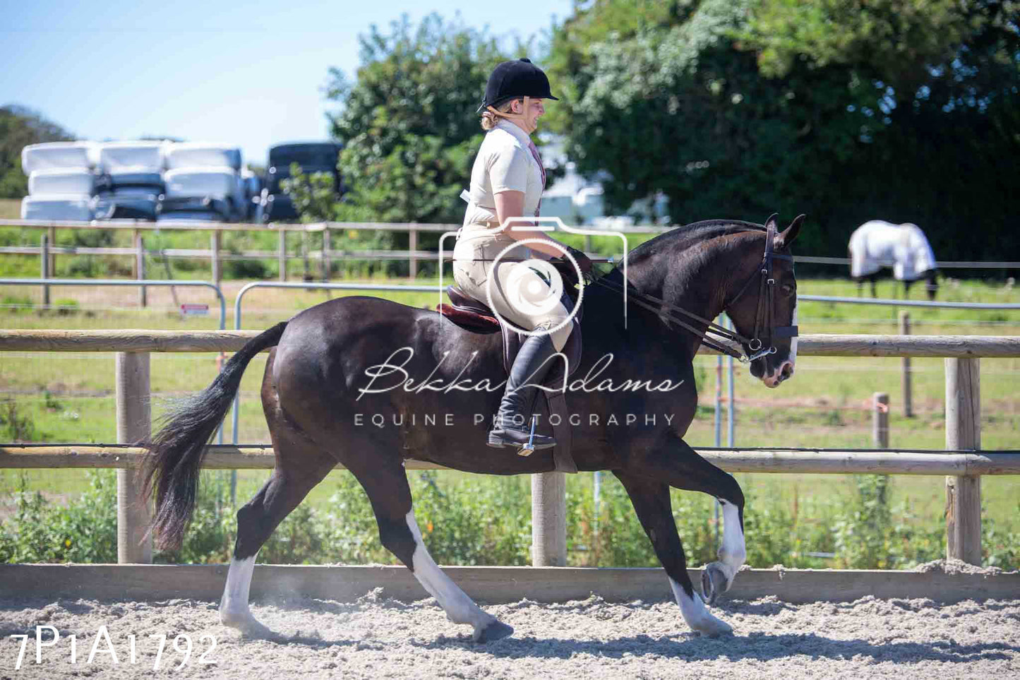 Home Farm Annual Show -Ridden Showing 20th August 2023