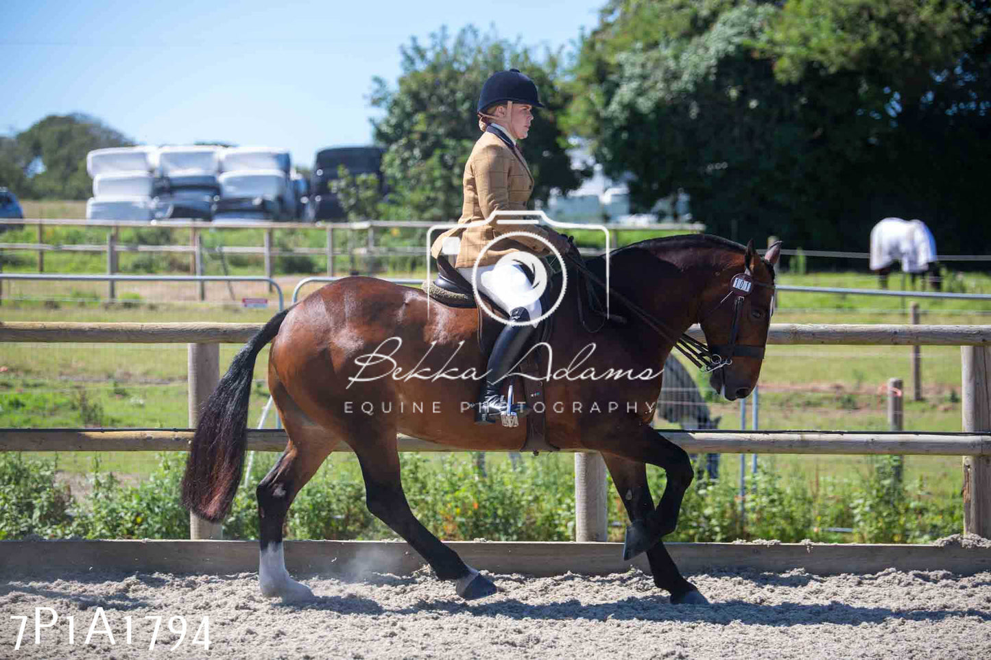 Home Farm Annual Show -Ridden Showing 20th August 2023