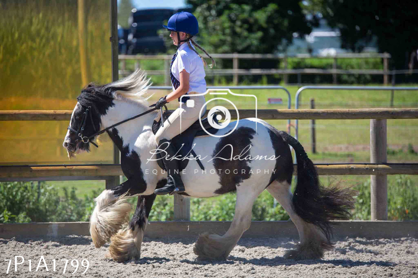 Home Farm Annual Show -Ridden Showing 20th August 2023