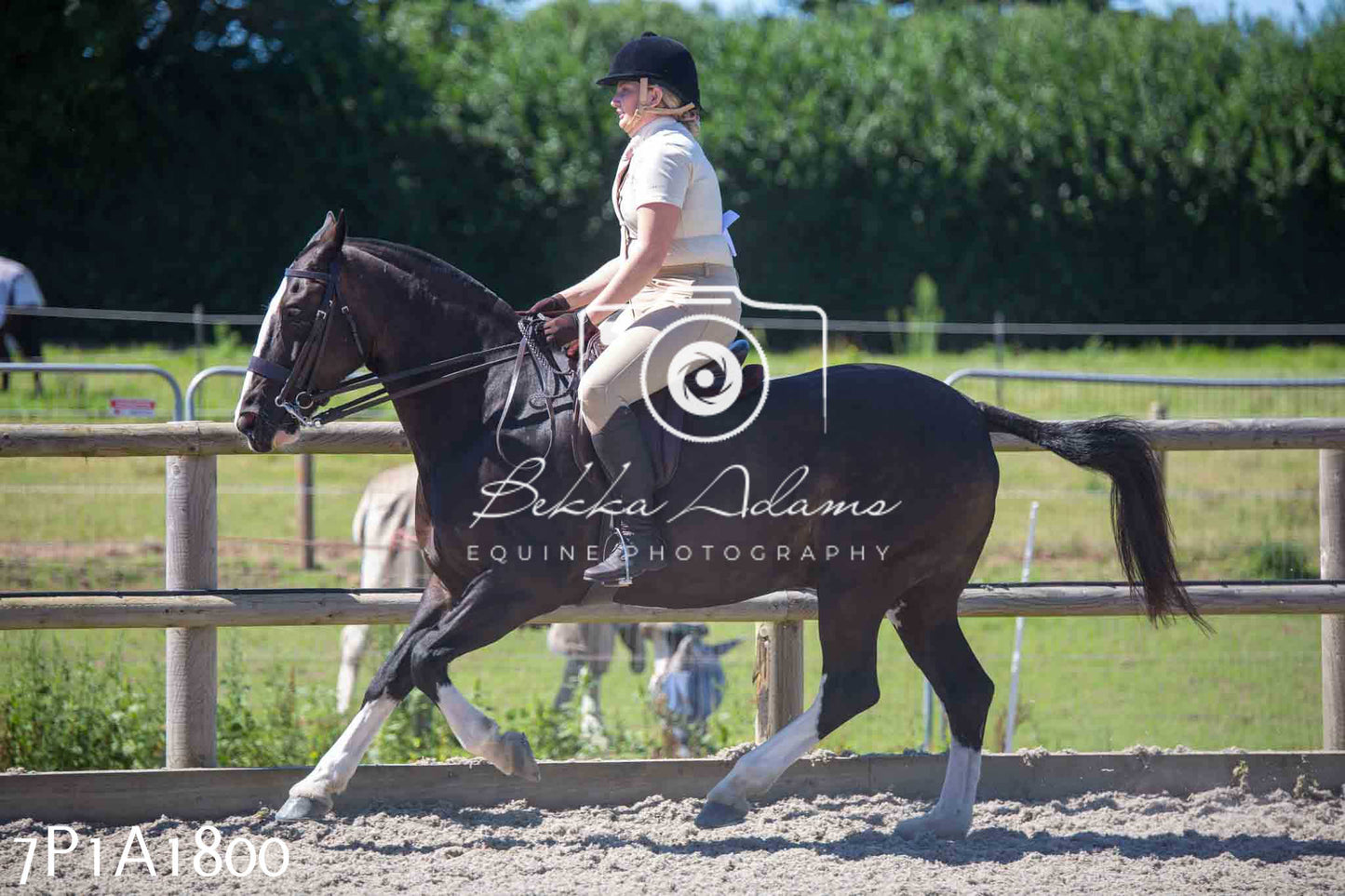 Home Farm Annual Show -Ridden Showing 20th August 2023