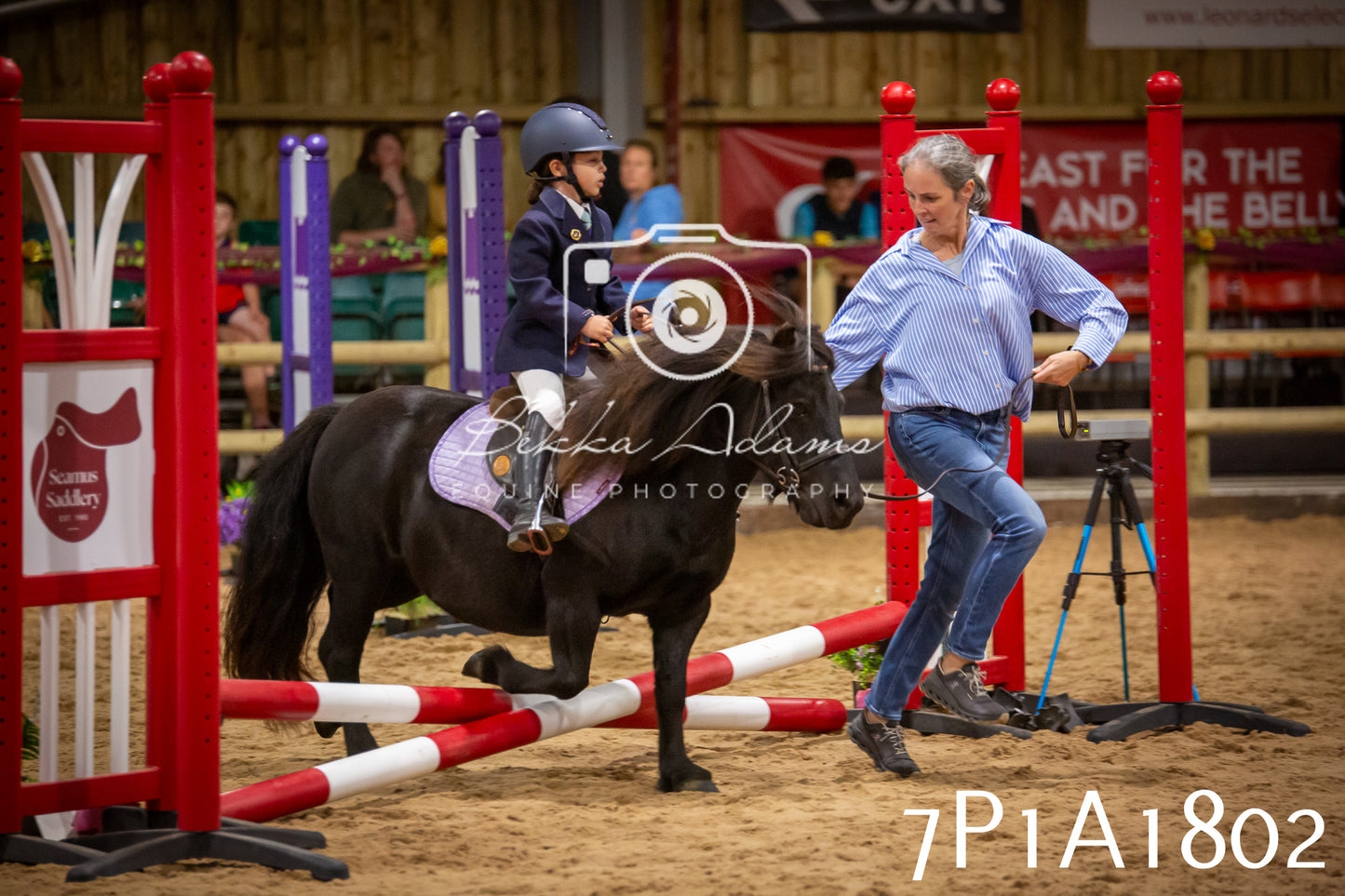 JHOYS 2025 - Show Jumping - 19th September pt1
