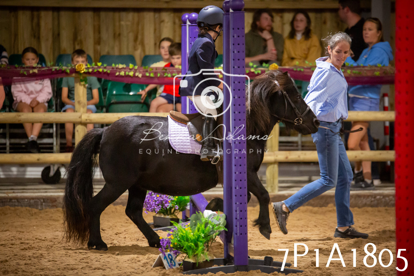 JHOYS 2025 - Show Jumping - 19th September pt1