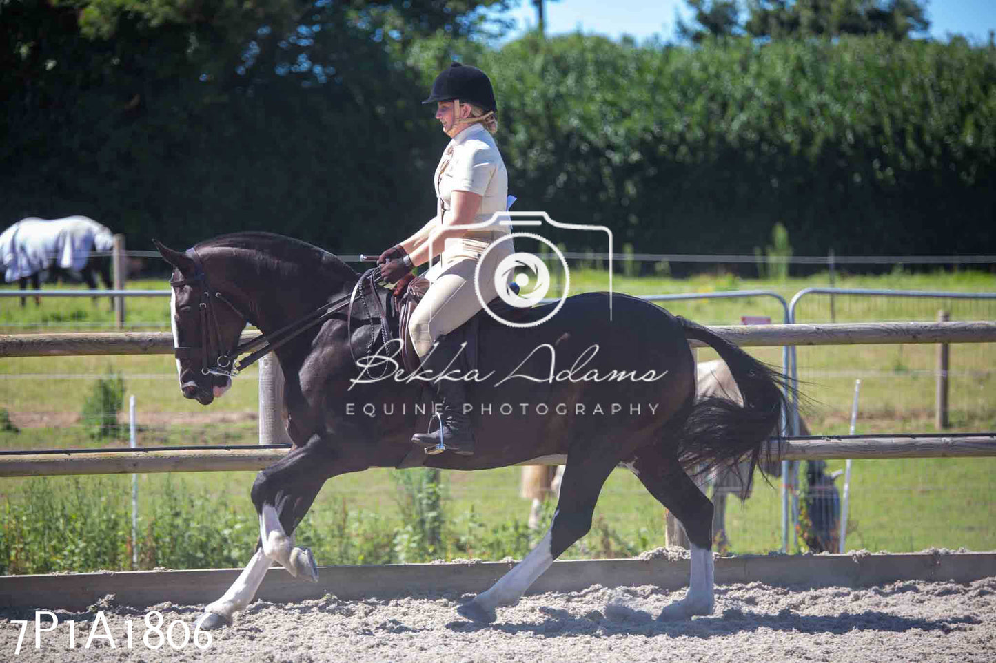Home Farm Annual Show -Ridden Showing 20th August 2023