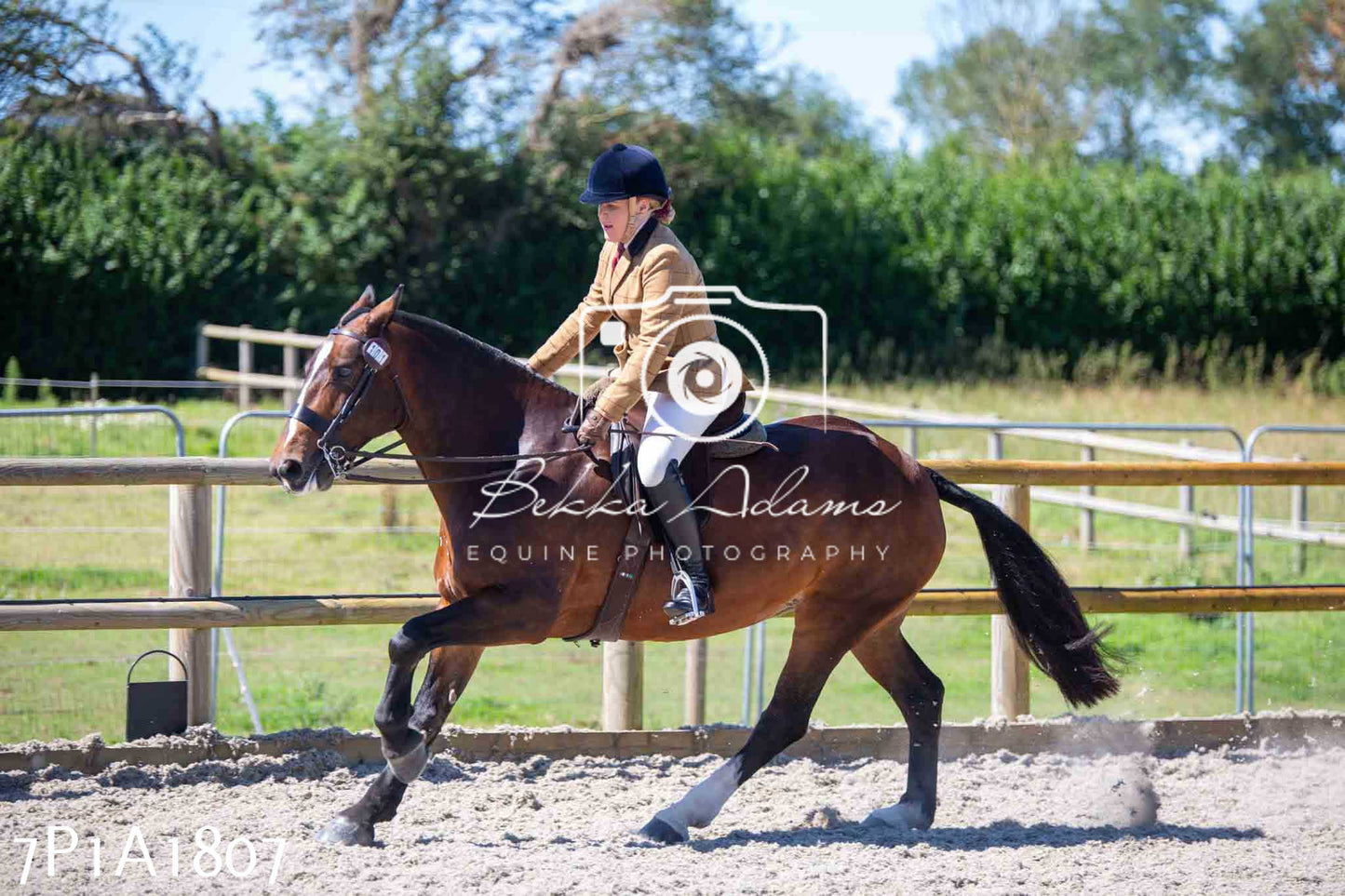 Home Farm Annual Show -Ridden Showing 20th August 2023