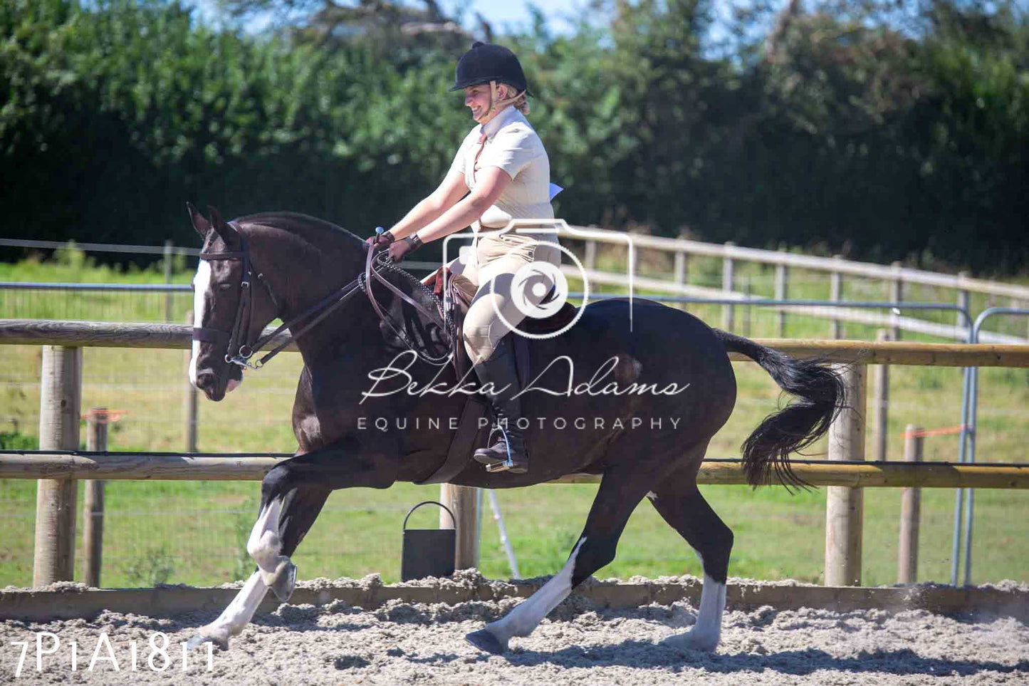 Home Farm Annual Show -Ridden Showing 20th August 2023