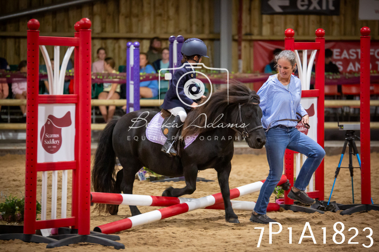 JHOYS 2025 - Show Jumping - 19th September pt1