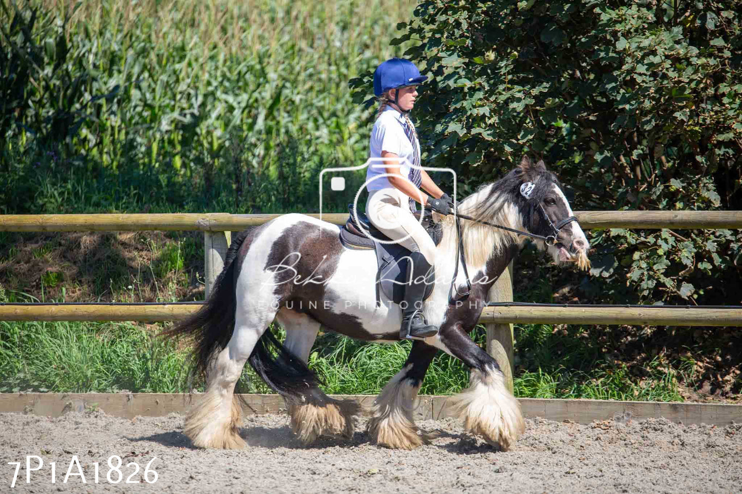 Home Farm Annual Show -Ridden Showing 20th August 2023