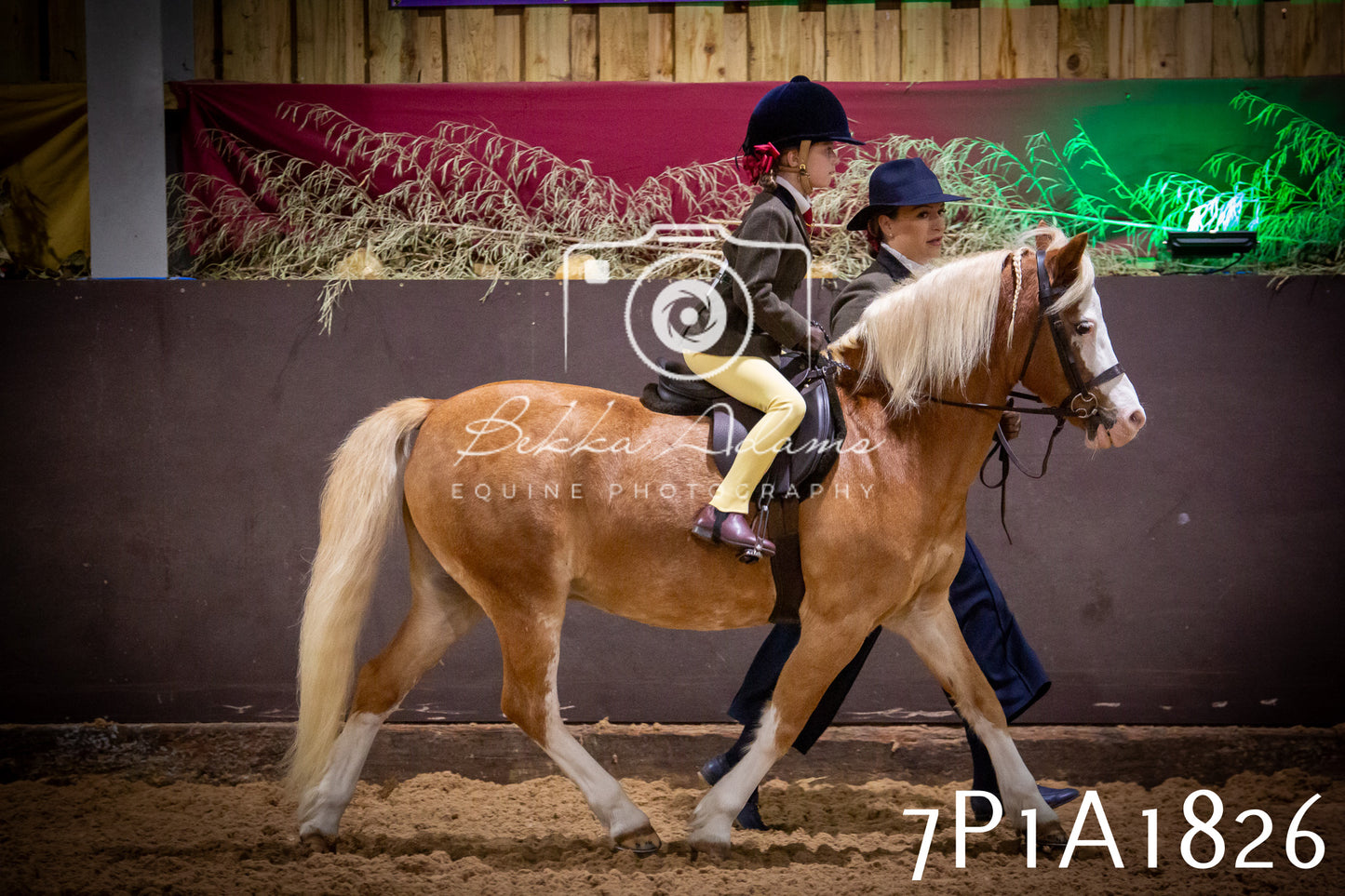 JHOYS 2025 - Ridden Showing - 28th September - pt1