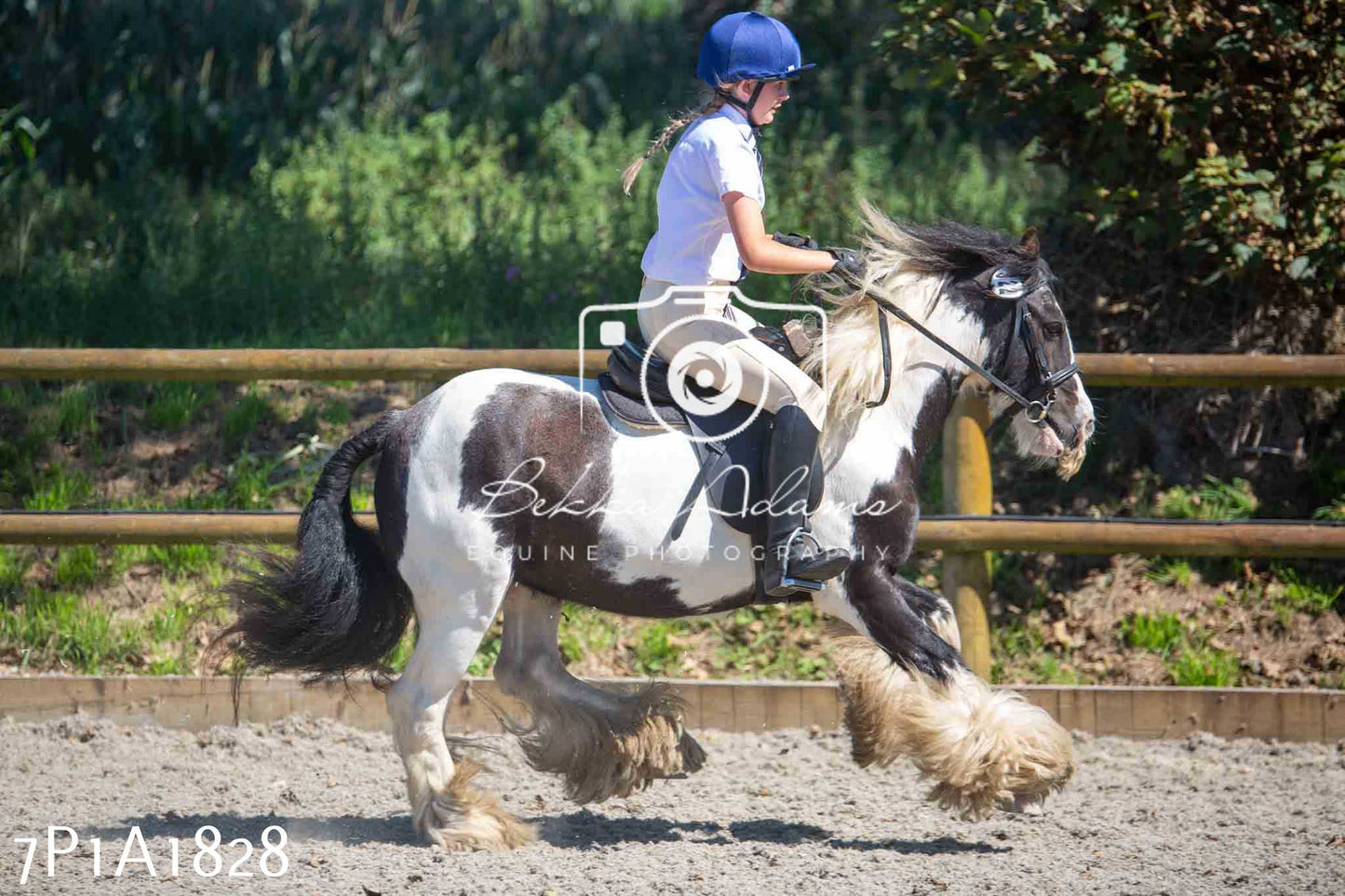 Home Farm Annual Show -Ridden Showing 20th August 2023