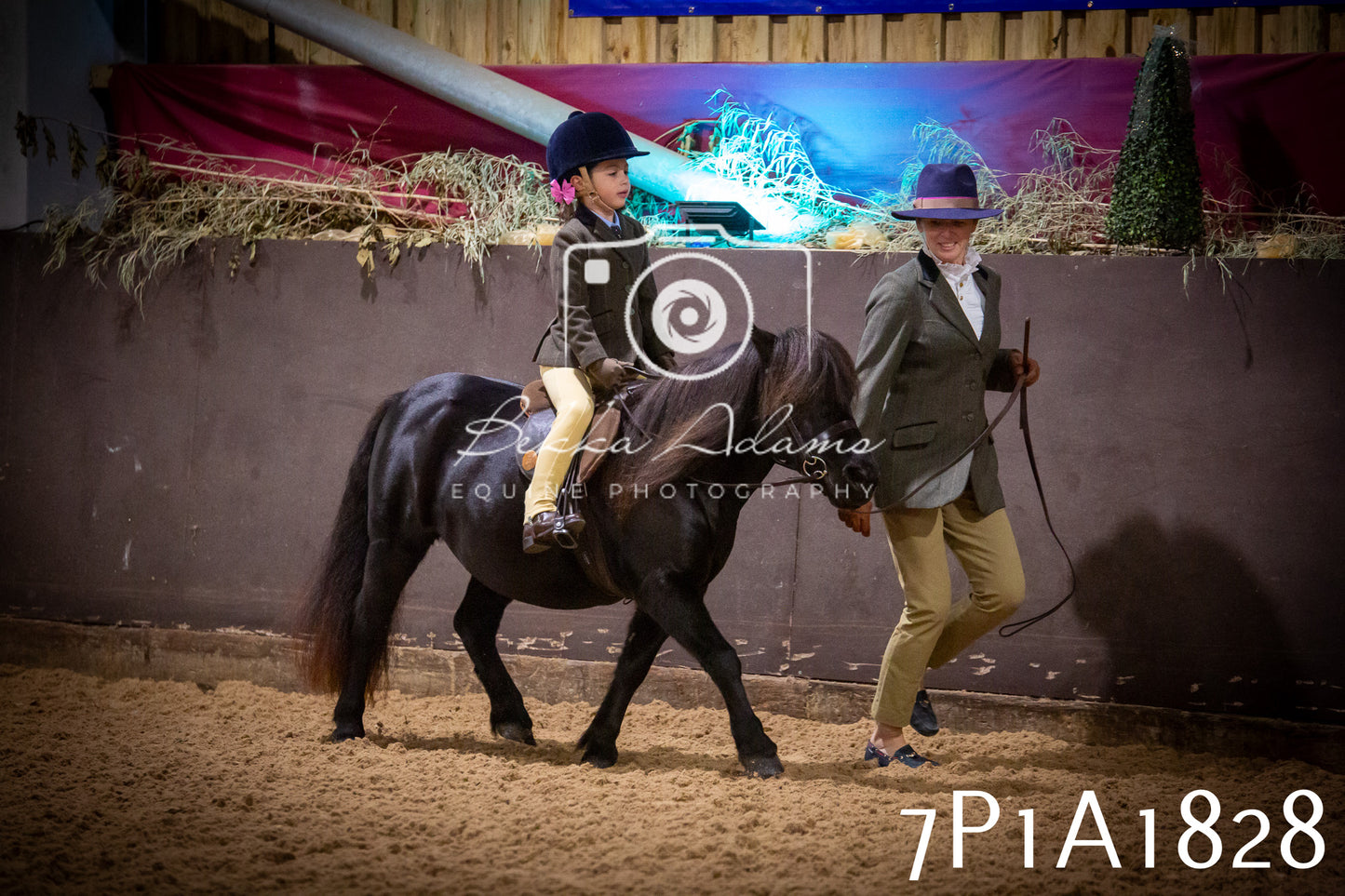 JHOYS 2025 - Ridden Showing - 28th September - pt1