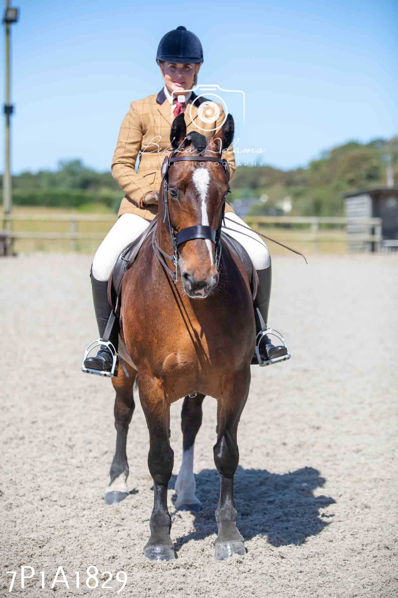 Home Farm Annual Show -Ridden Showing 20th August 2023
