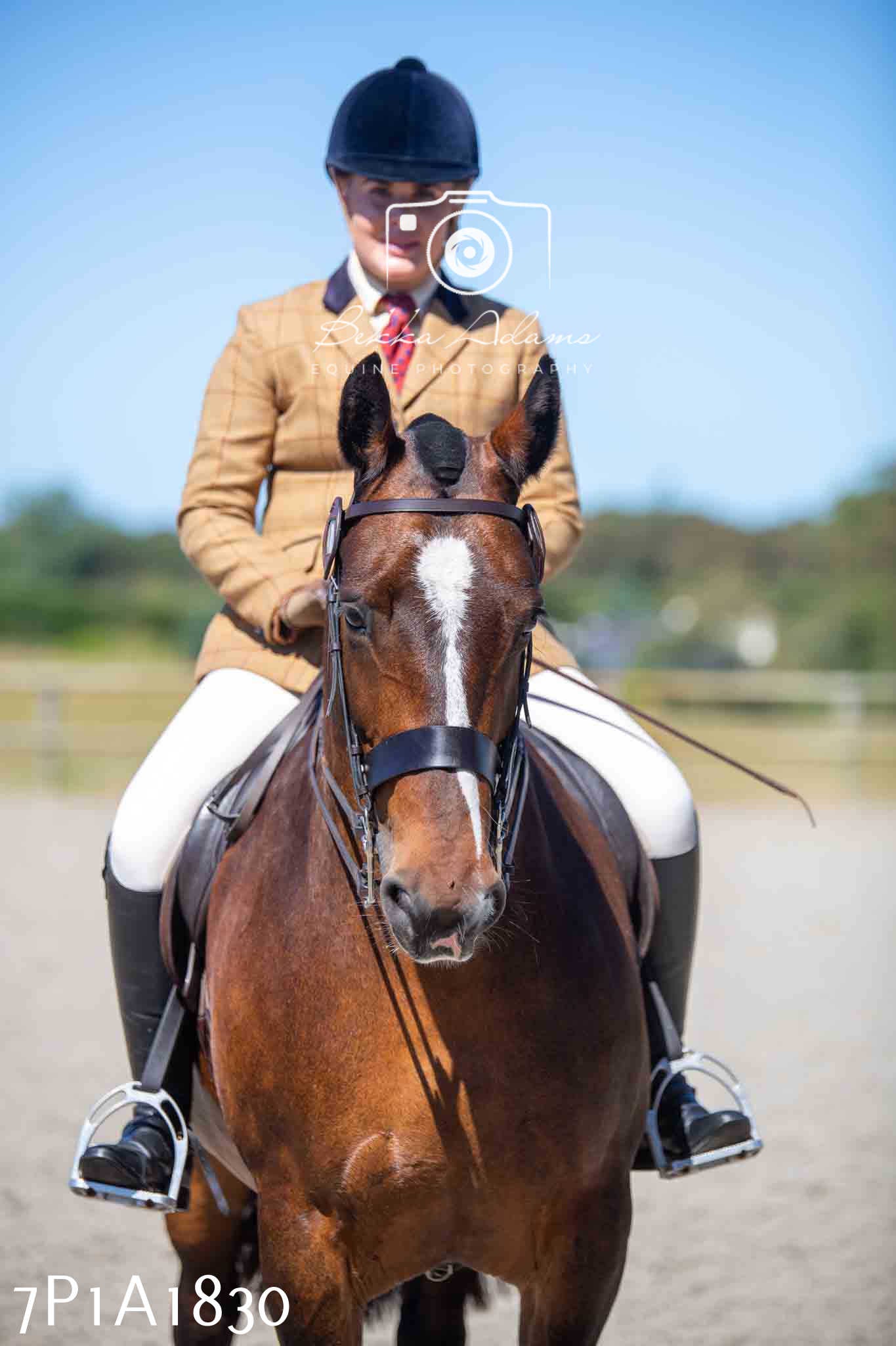 Home Farm Annual Show -Ridden Showing 20th August 2023