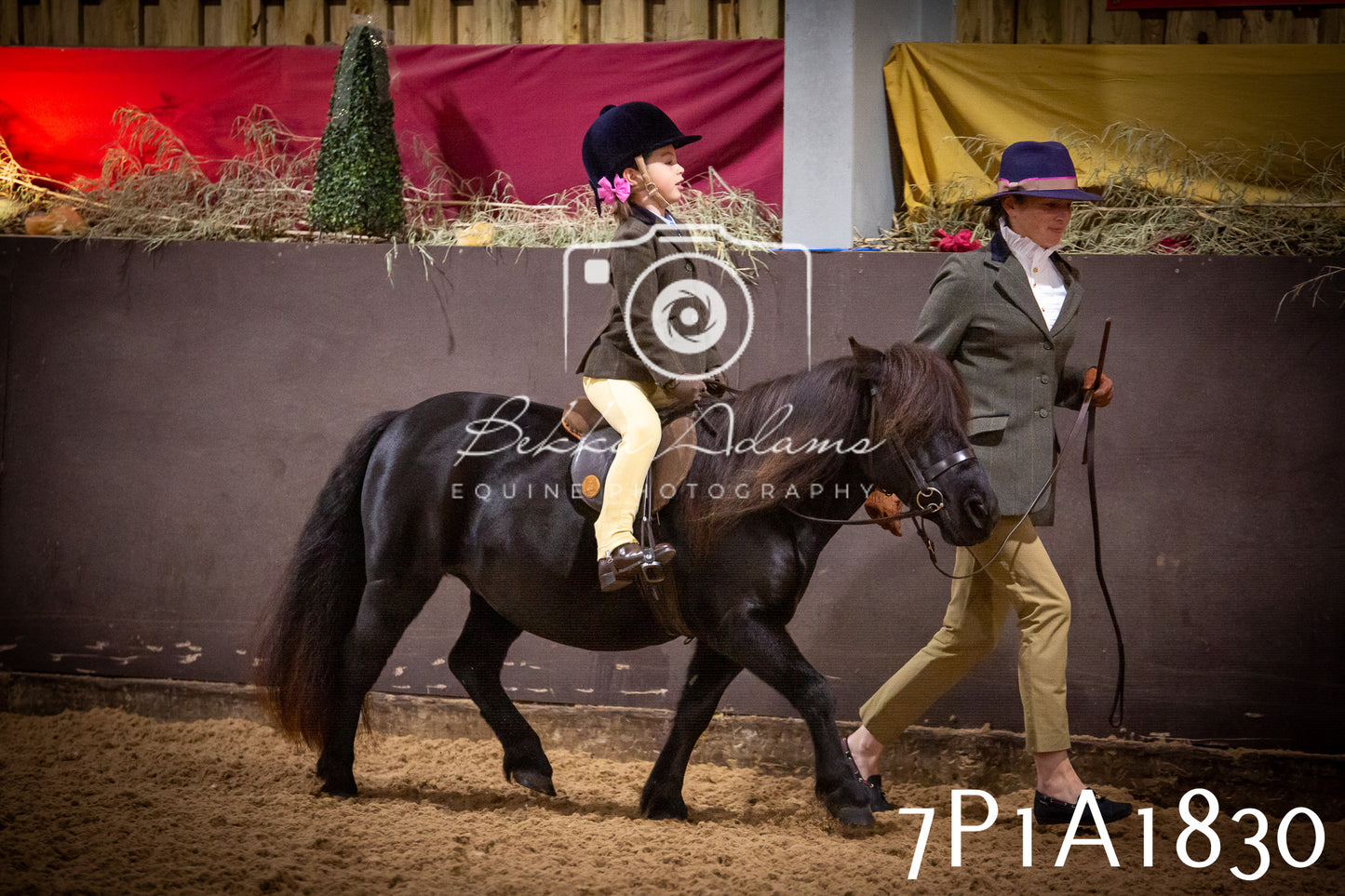 JHOYS 2025 - Ridden Showing - 28th September - pt1