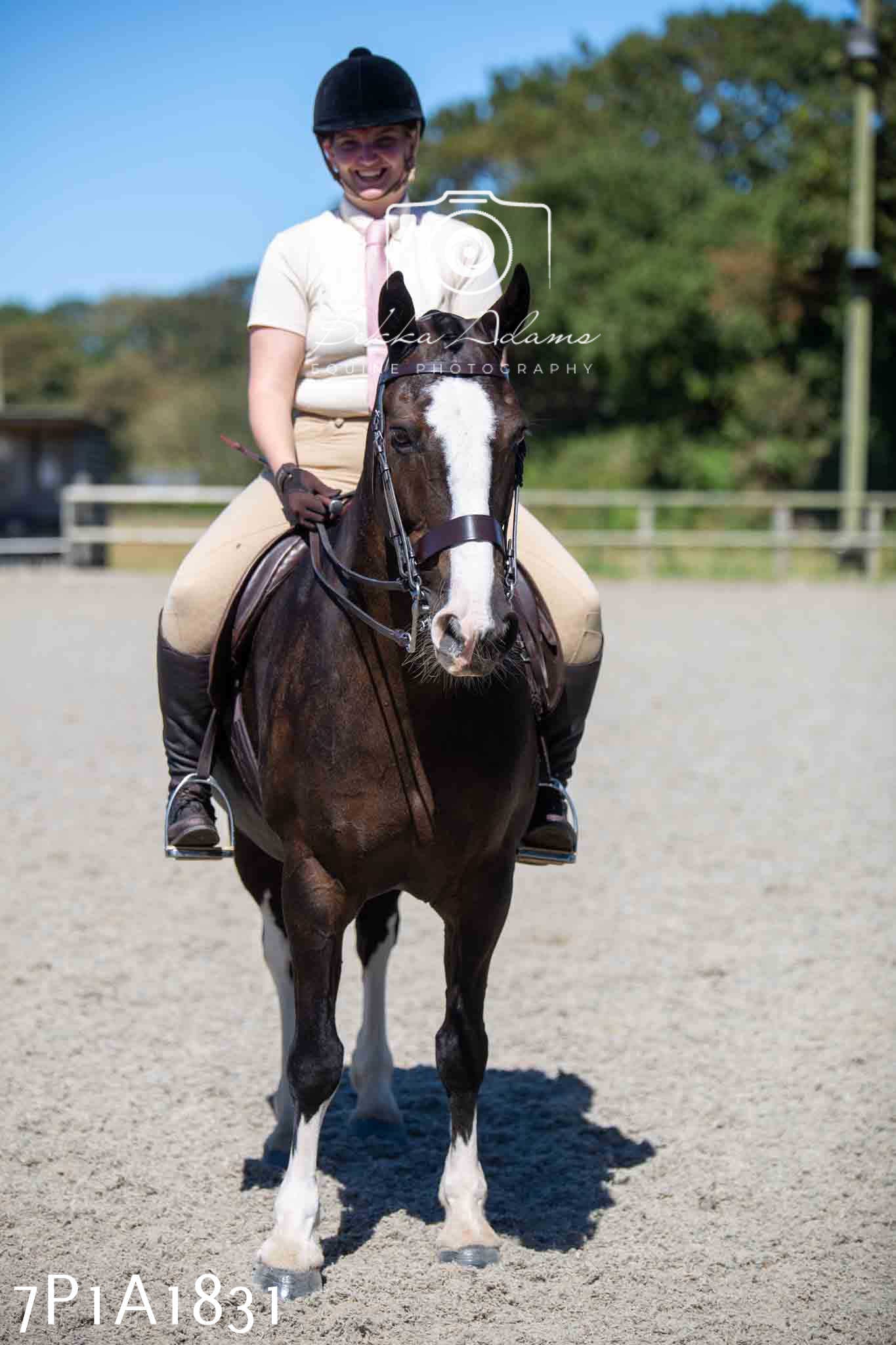 Home Farm Annual Show -Ridden Showing 20th August 2023
