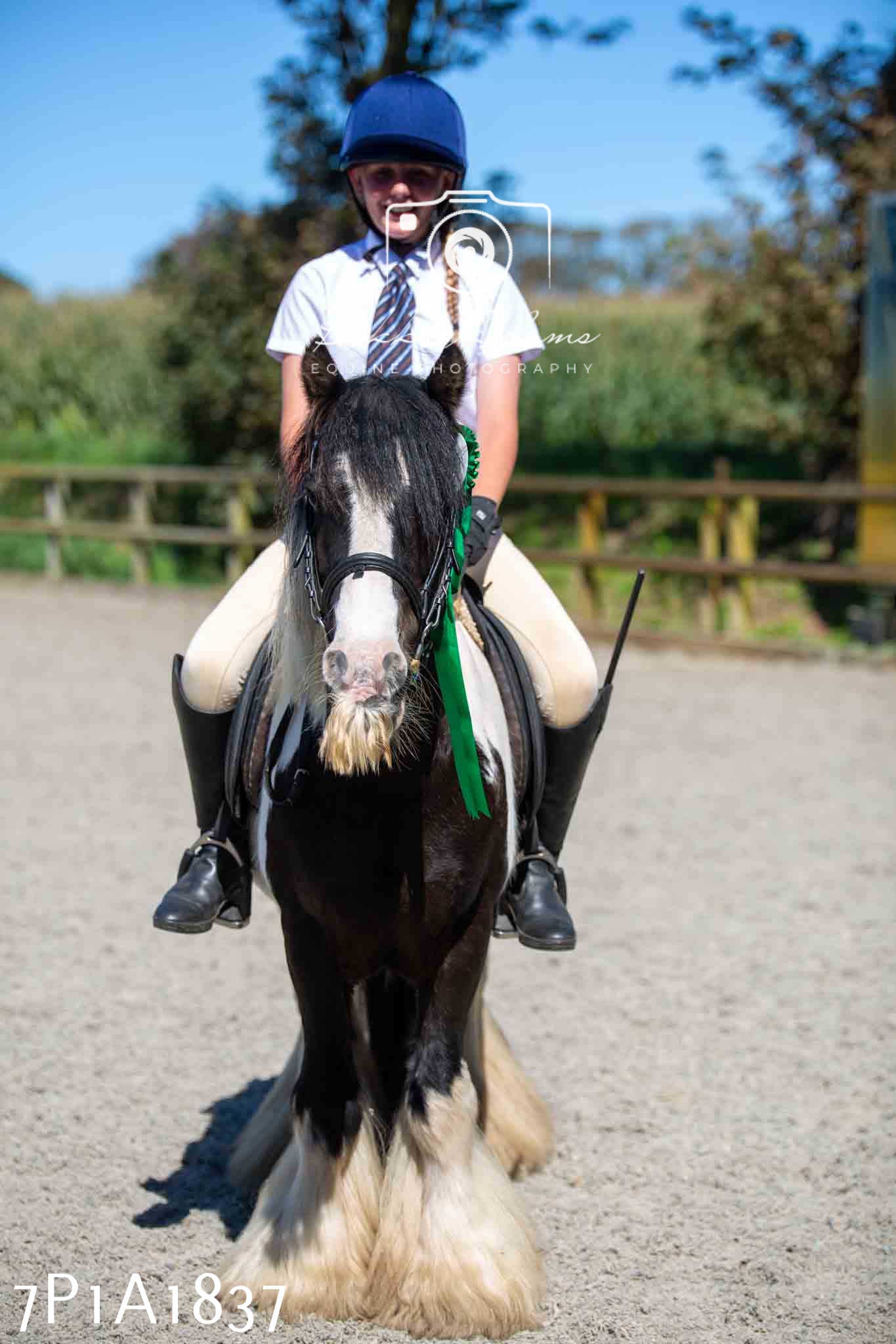 Home Farm Annual Show -Ridden Showing 20th August 2023