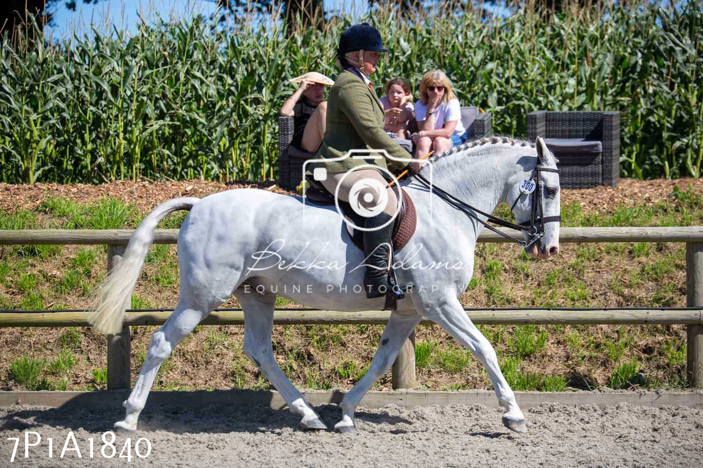 Home Farm Annual Show -Ridden Showing 20th August 2023