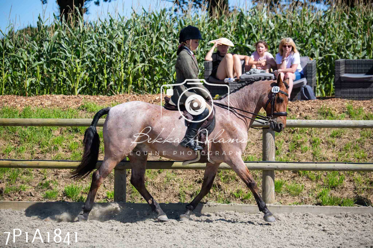 Home Farm Annual Show -Ridden Showing 20th August 2023