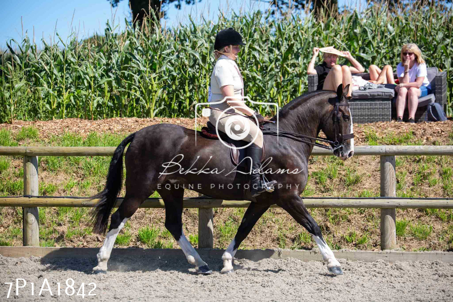 Home Farm Annual Show -Ridden Showing 20th August 2023
