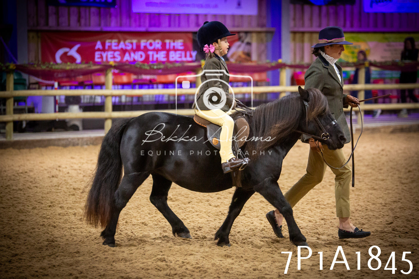 JHOYS 2025 - Ridden Showing - 28th September - pt1