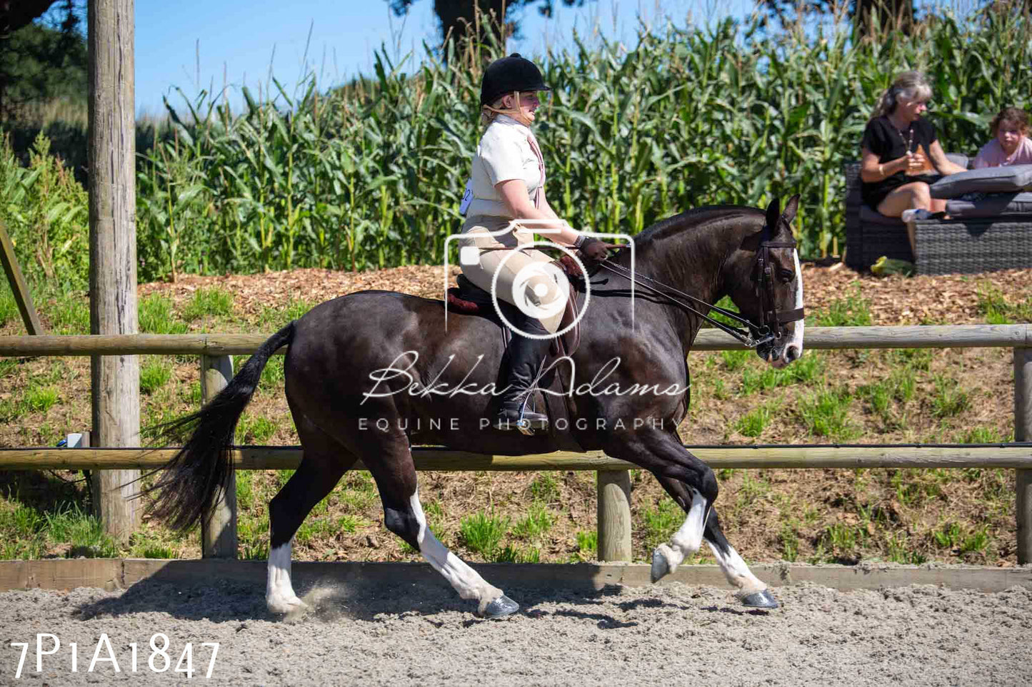 Home Farm Annual Show -Ridden Showing 20th August 2023