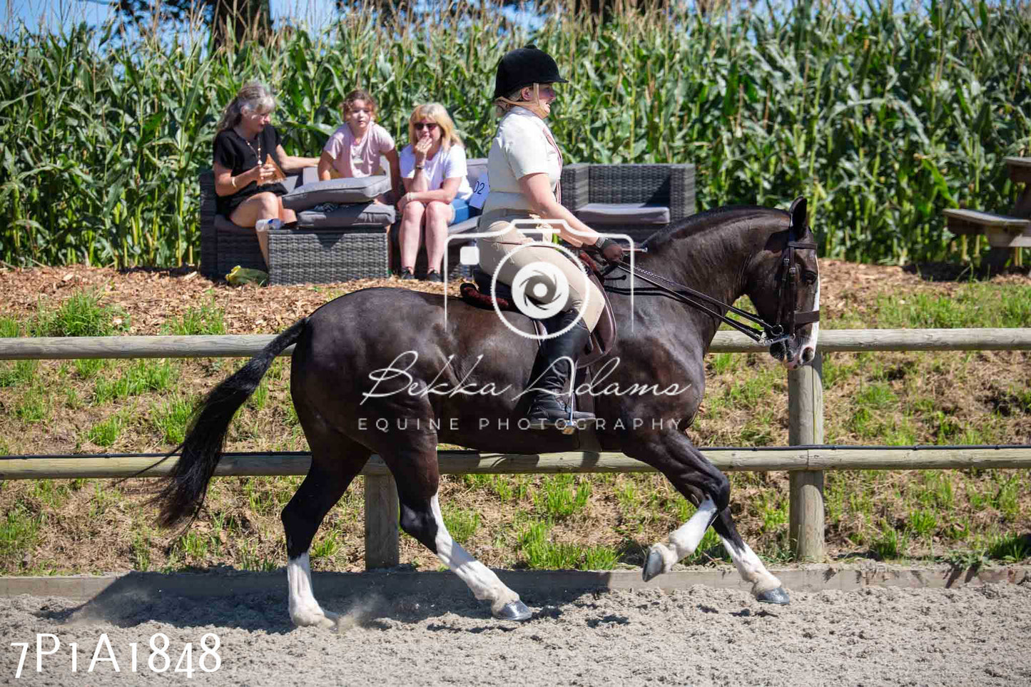Home Farm Annual Show -Ridden Showing 20th August 2023