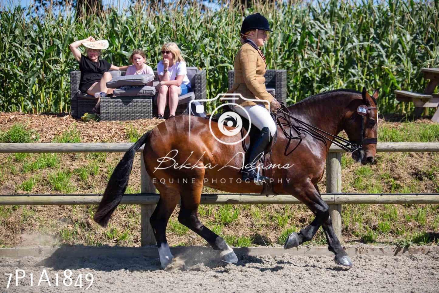 Home Farm Annual Show -Ridden Showing 20th August 2023