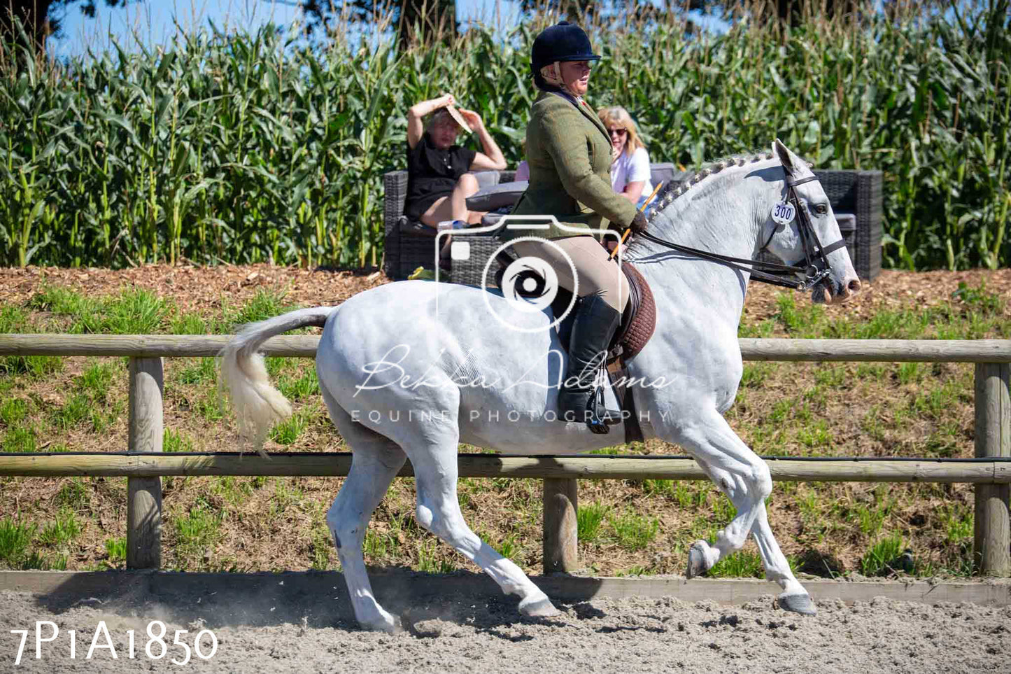 Home Farm Annual Show -Ridden Showing 20th August 2023