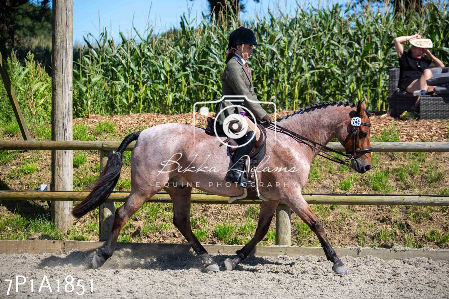Home Farm Annual Show -Ridden Showing 20th August 2023
