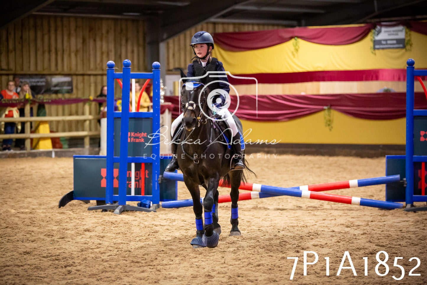 JHOYS 2025 - Show Jumping - 19th September pt1