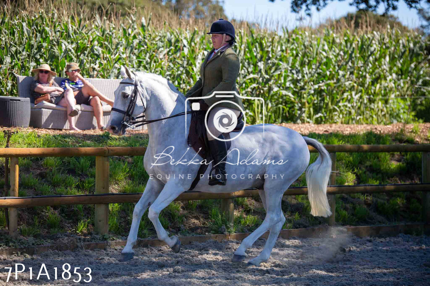 Home Farm Annual Show -Ridden Showing 20th August 2023