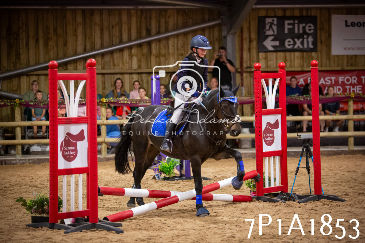 JHOYS 2025 - Show Jumping - 19th September pt1