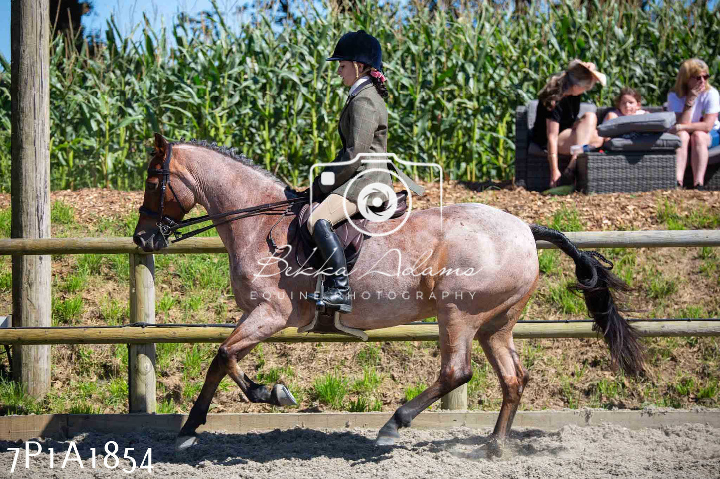 Home Farm Annual Show -Ridden Showing 20th August 2023